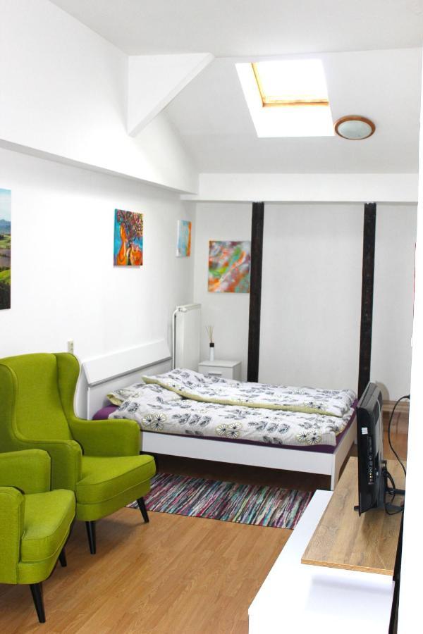Krasny Priestranny Slnecny Apartman V Centre Mesta Trenčín Buitenkant foto