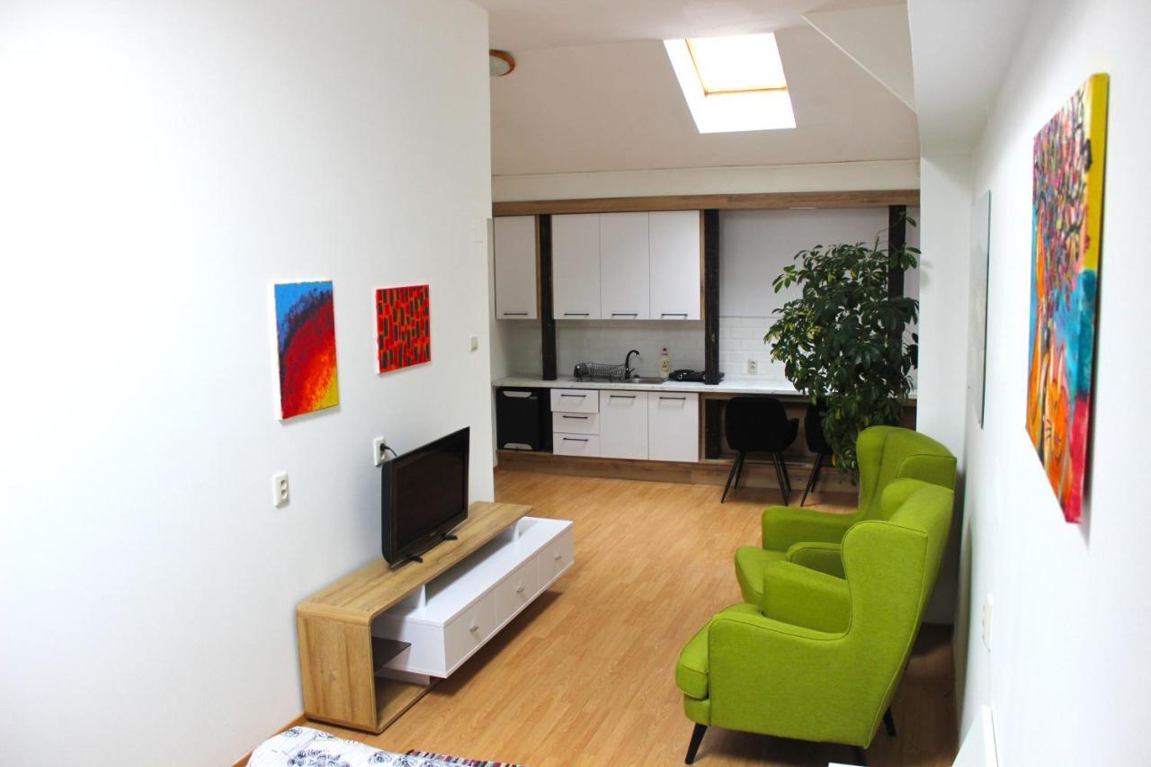 Krasny Priestranny Slnecny Apartman V Centre Mesta Trenčín Buitenkant foto